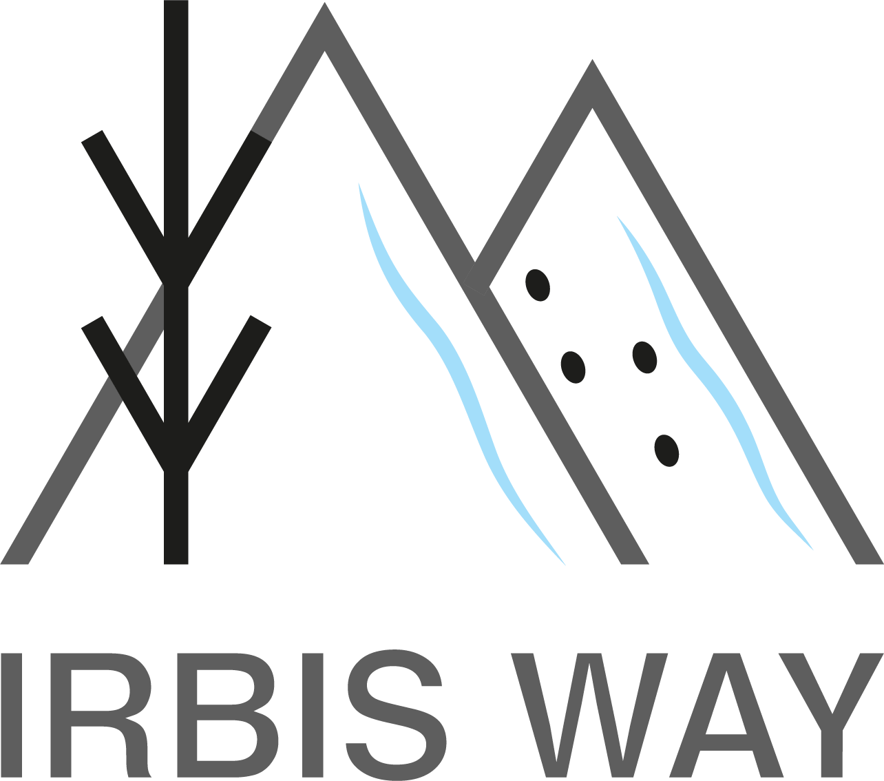 IRBIS WAY